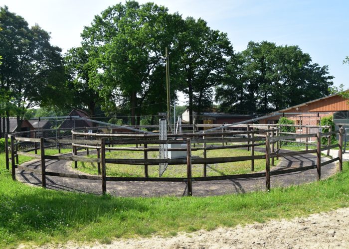 Führanlage