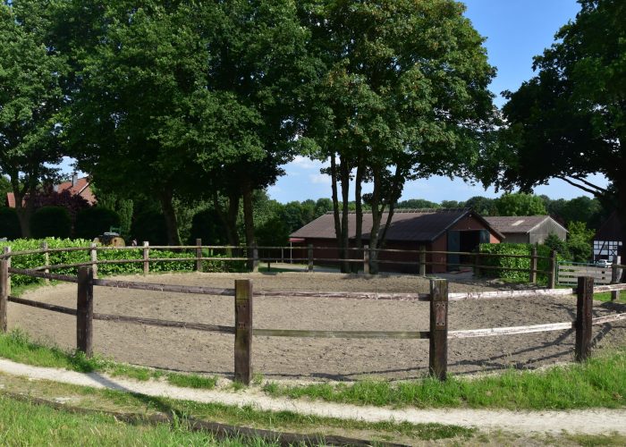 Longierzirkel